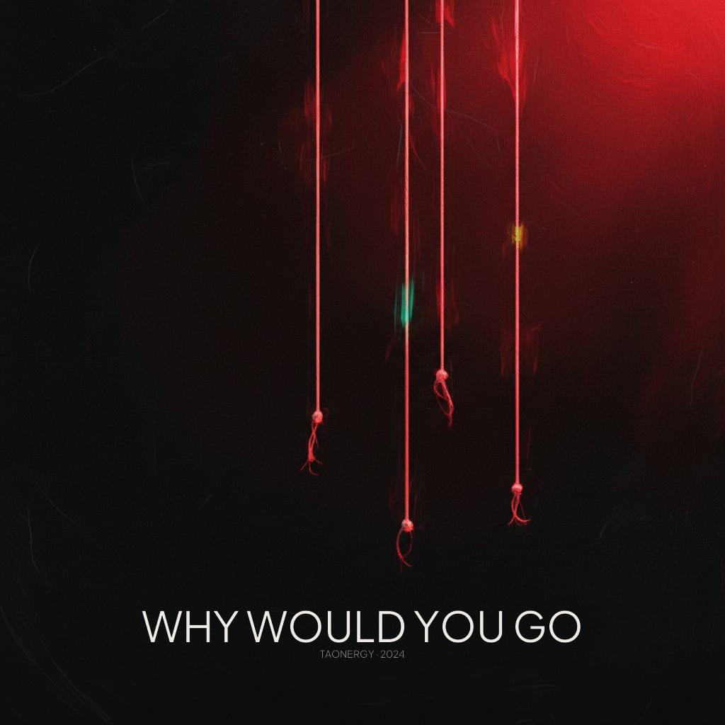 Why Would You Go cover